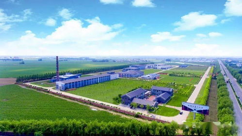 榆樹錢揭牌成立中國北方白酒新技術與新產品聯合研發中心，引領技術開發新篇章